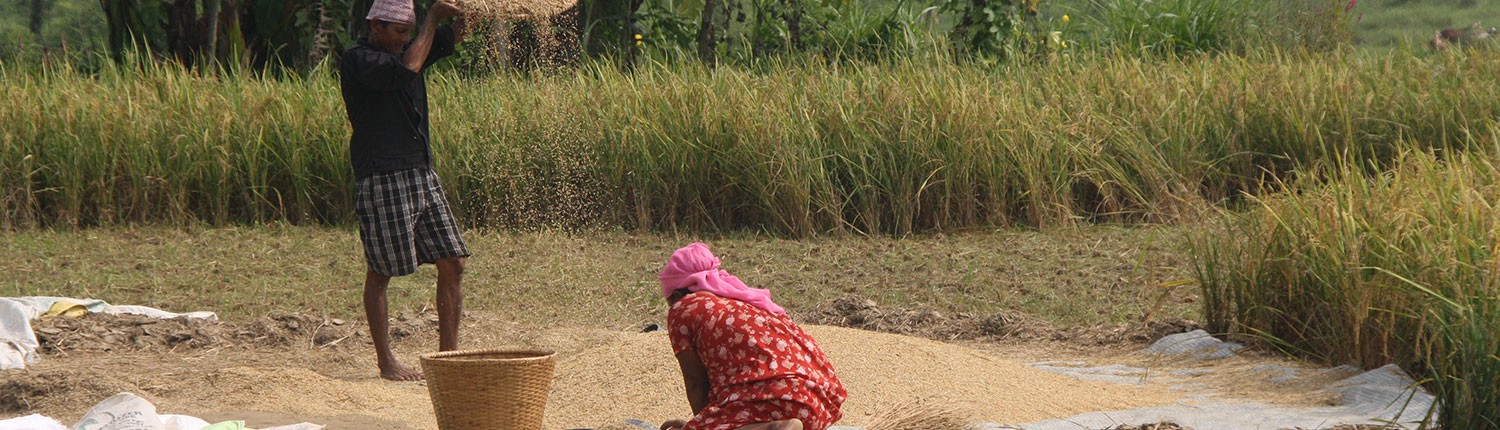 Support`n Care - Therapieprojekt für Drogenabhängige in Nepal